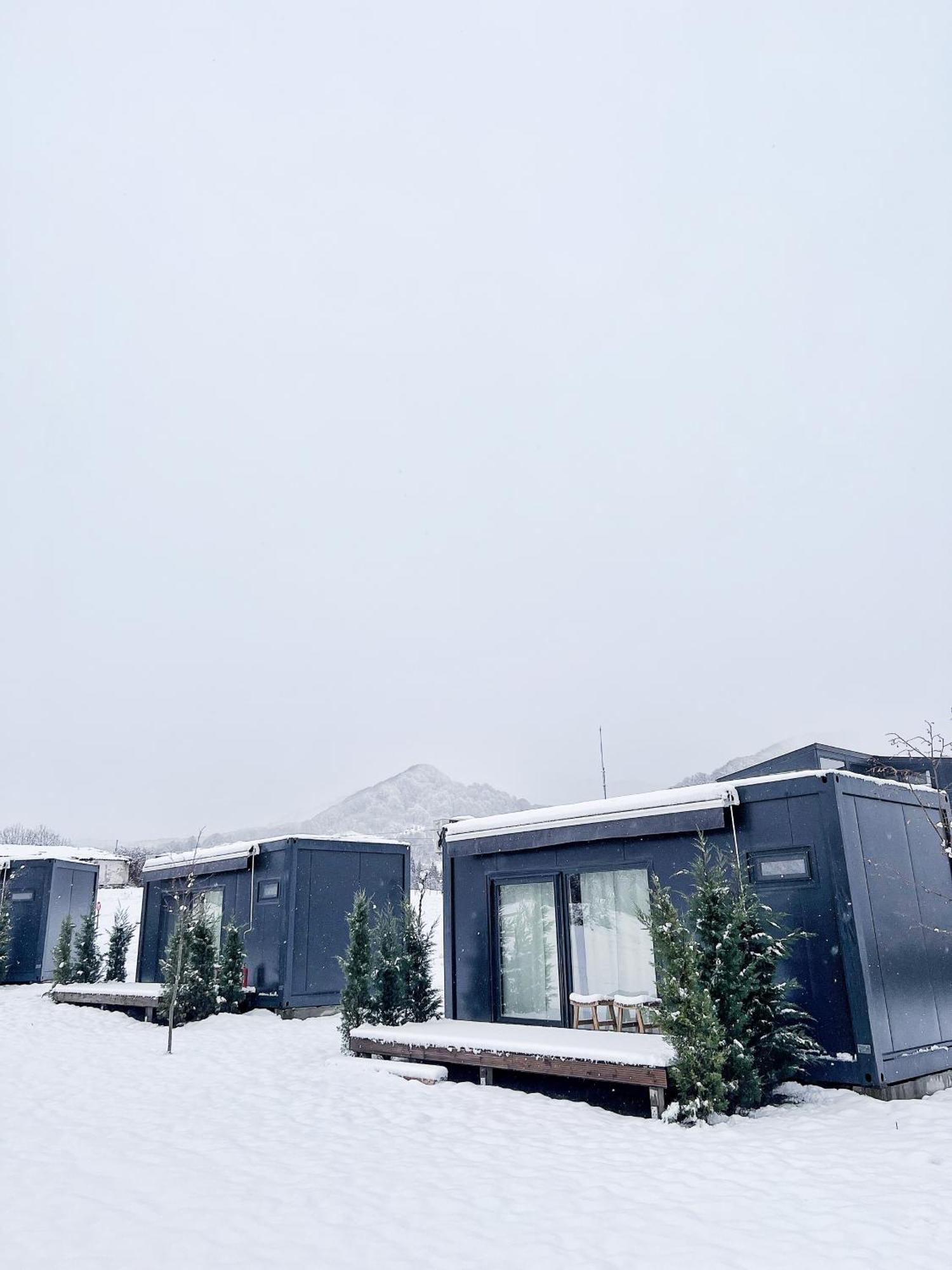 Hotel Flandra Glamping Corbeni Zewnętrze zdjęcie